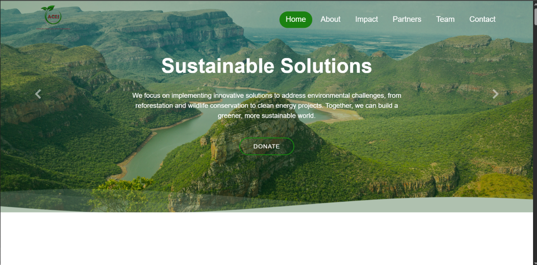 ACEJ website design preview by LeAds Ug