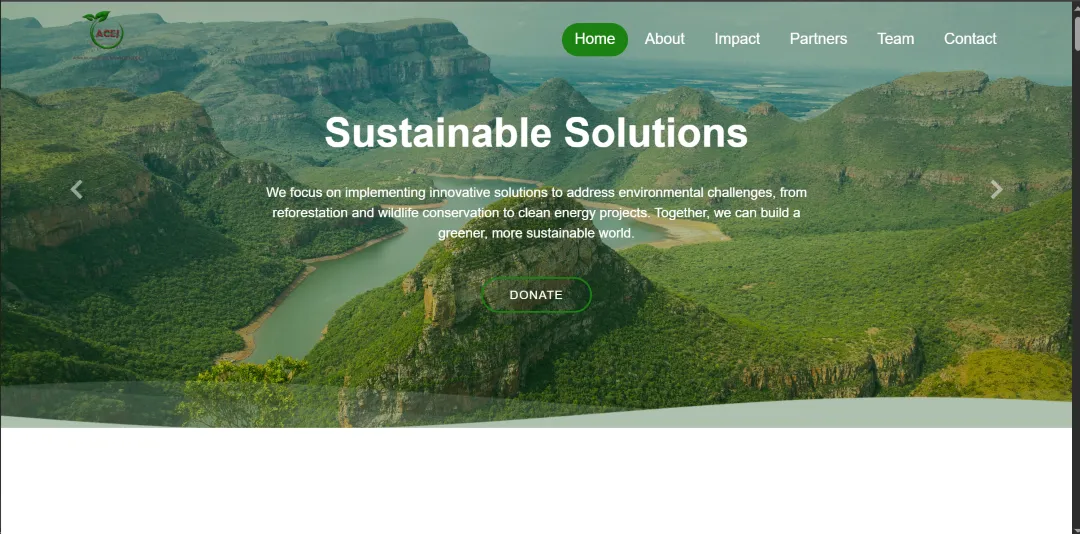ACEJ website design preview by LeAds Ug
